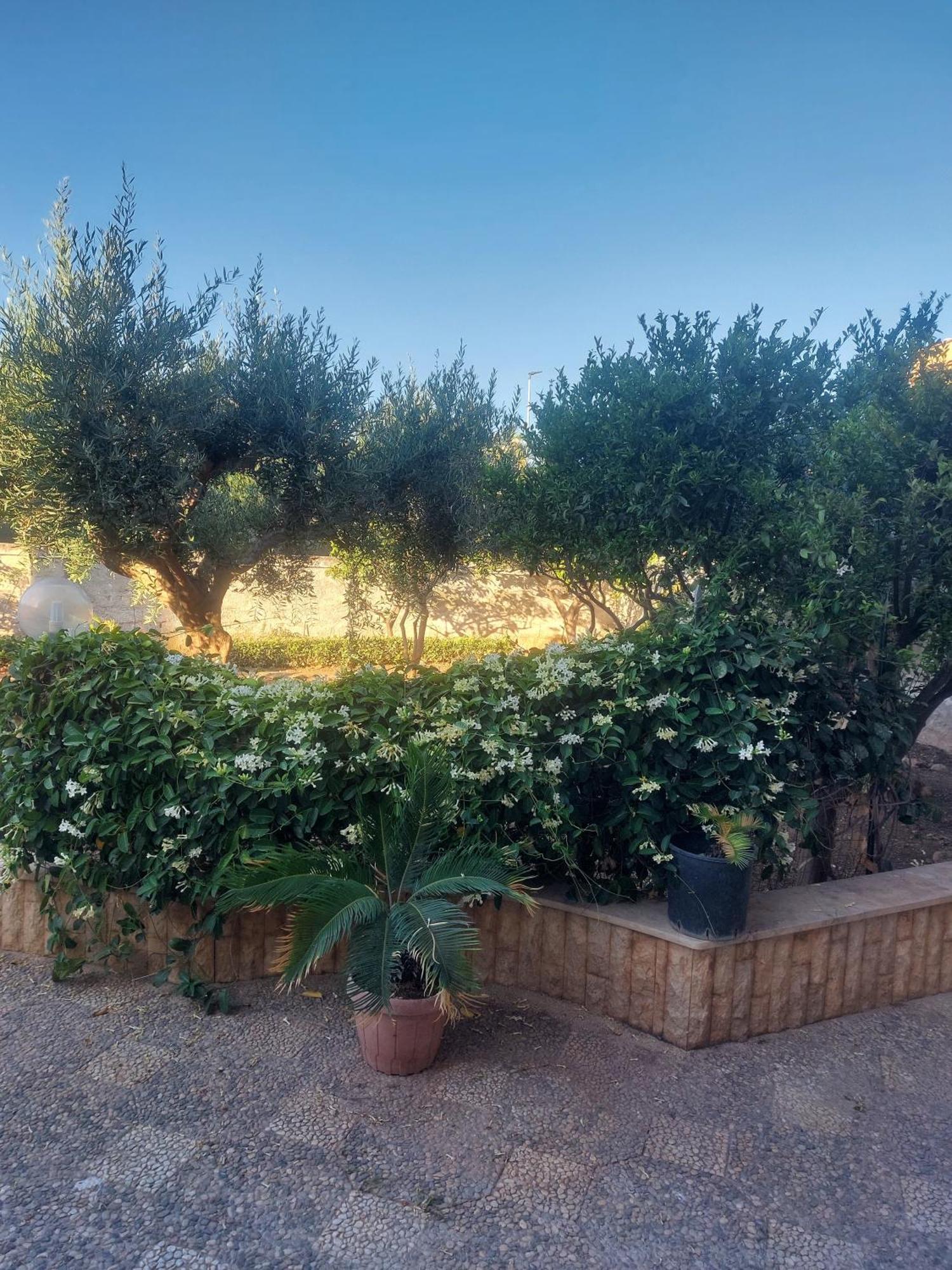 Alcantara Suites Trapani Eksteriør bilde